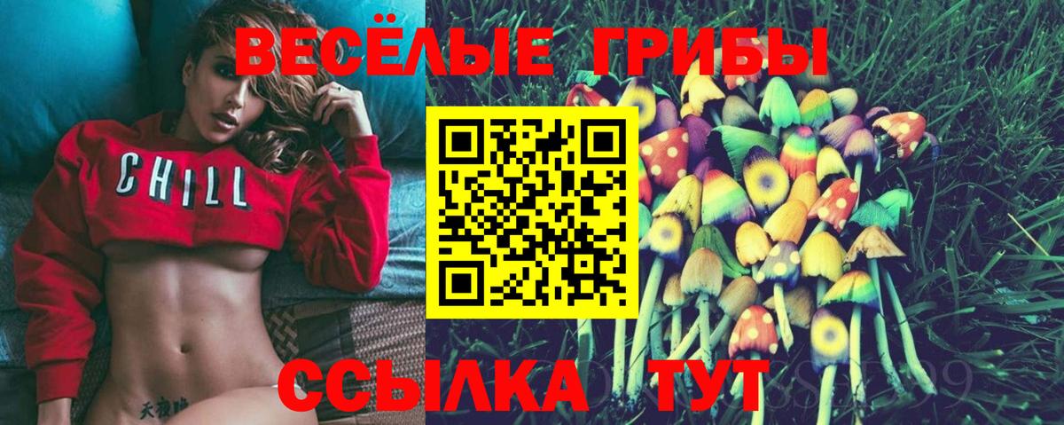 Псилоцибиновые грибы MAGIC MUSHROOMS  Вход с VPN  Саянск 